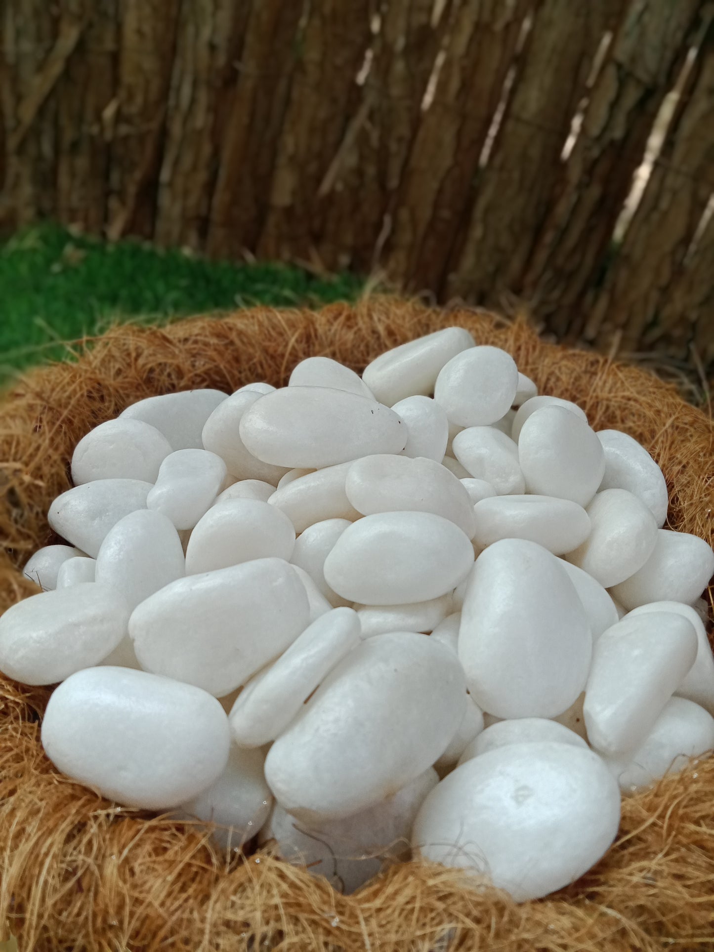 White Pebbles | Garden Stones White 2-4cm