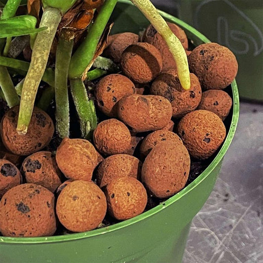 Clay pebbles Hydro 1kg Dubai