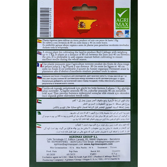 Red Cabbage Seeds Dubai