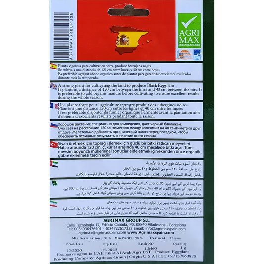 Eggplant Seeds Dubai uae