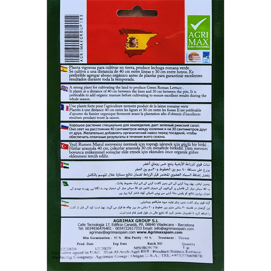 Lollo Lettuce by agrimax Dubai