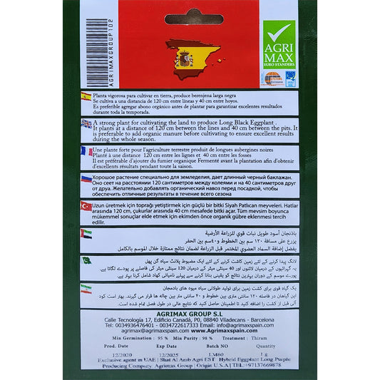 Long Black Eggplant Seeds dubai