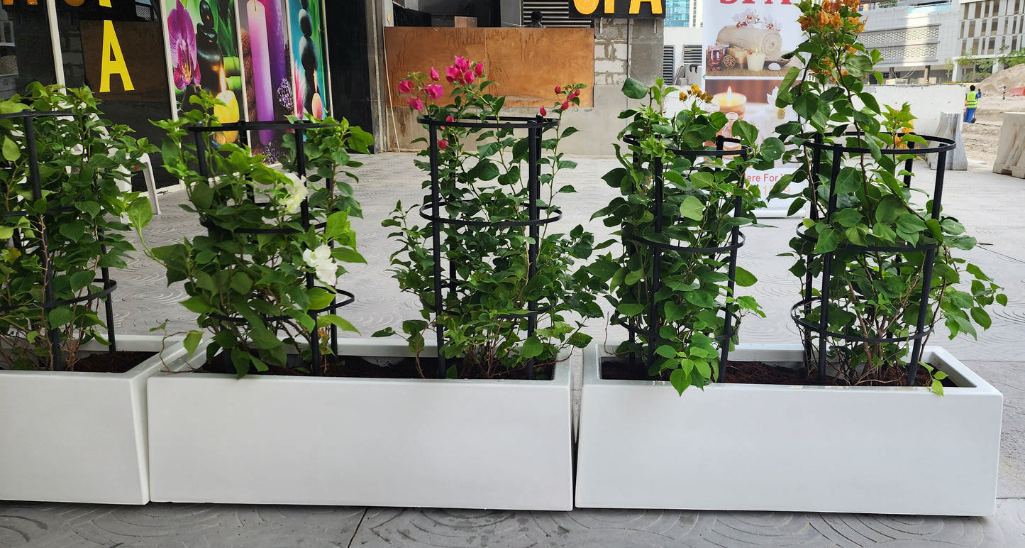 2 Bougainvillea with fiberglass pot. Best for restaurant partitions.