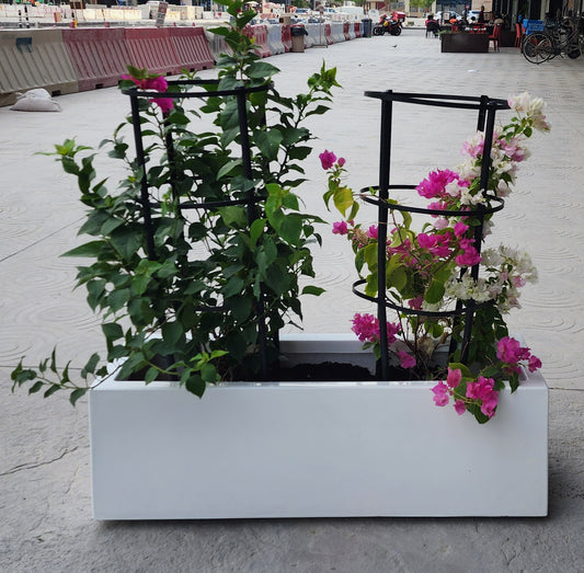 2 Bougainvillea with fiberglass pot. Best for restaurant partitions.