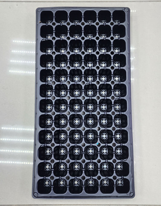 Plastic Seedling tray black 72 holes