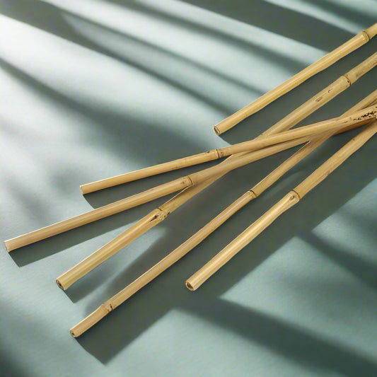 Bamboo Stick 150cm 20mm to 30mm