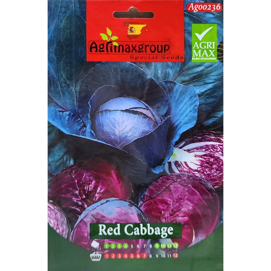 Red Cabbage Seeds