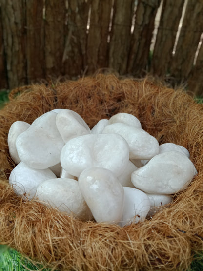 White Pebbles | Snow decorative | Rocks for Garden 3-5 cm size