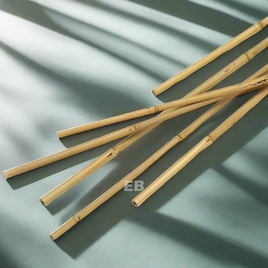 Bamboo Stick 120cm