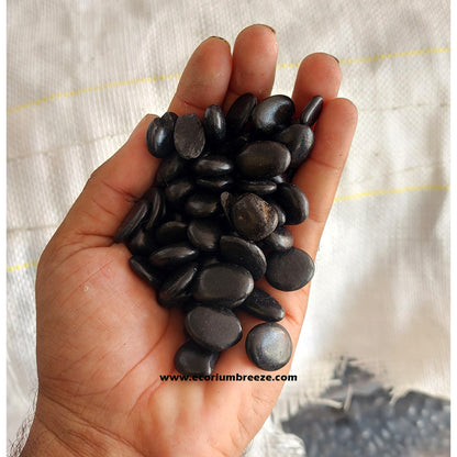 Black Polished Pebbles 1 - 2 cm