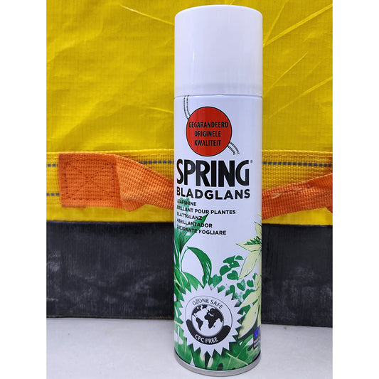 Spring Leaf Shining Spray 250ml