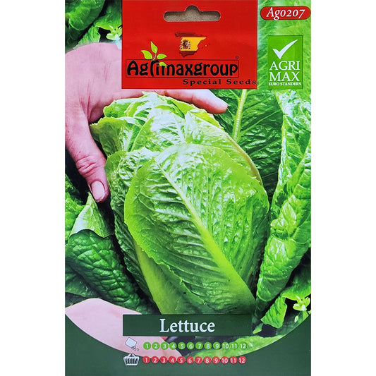 Lettuce Seeds by Agrimax