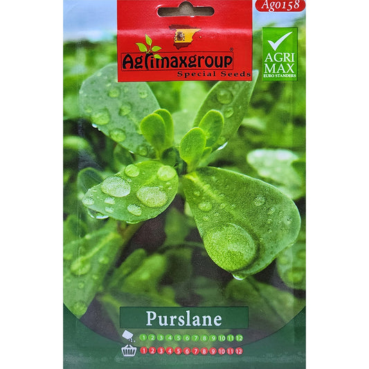 Purslane Seeds By Agrimax Dubai