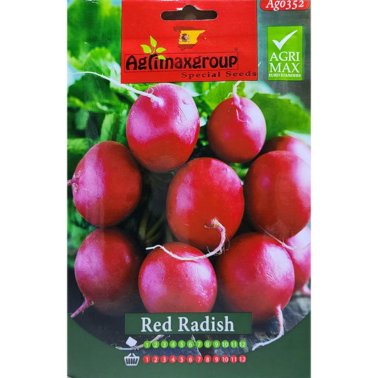 Red Radish Seeds 1