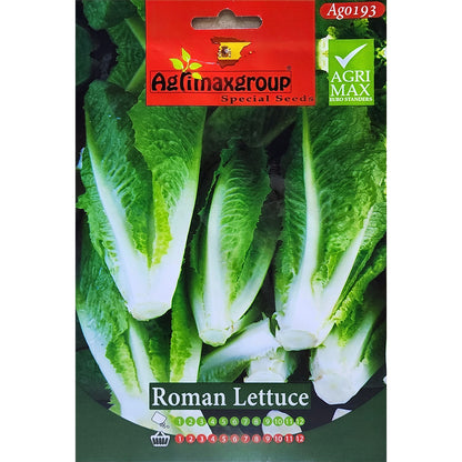 Roman Lettuce Seeds