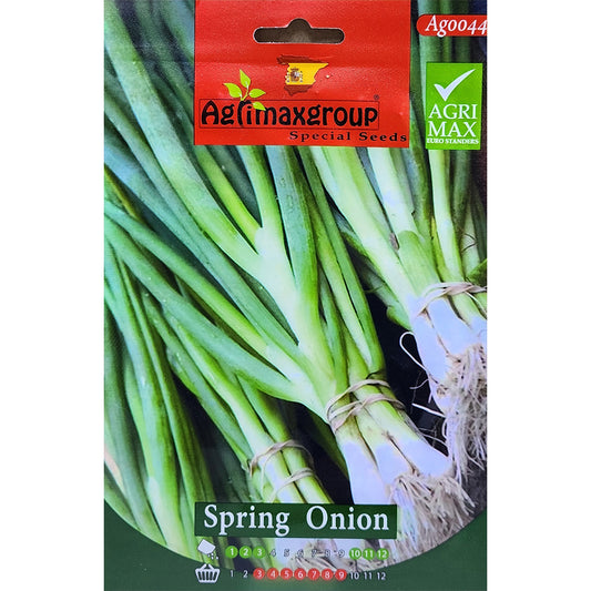 Spring Onion Seeds