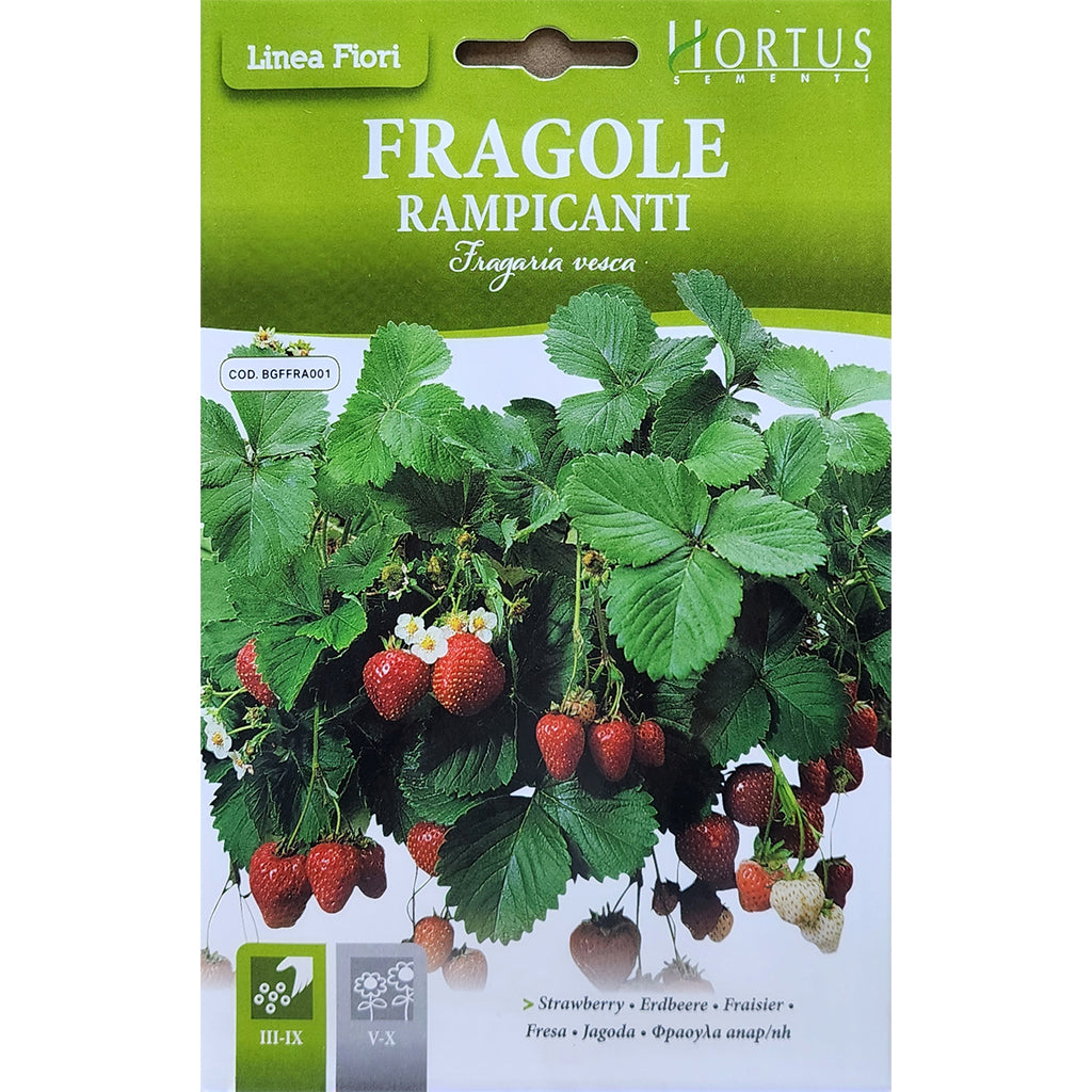 Strawberry Seeds By Hortus