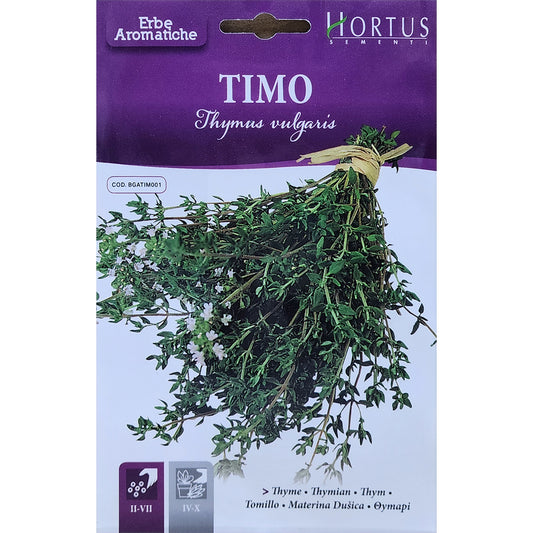 Thyme Seeds in Dubai